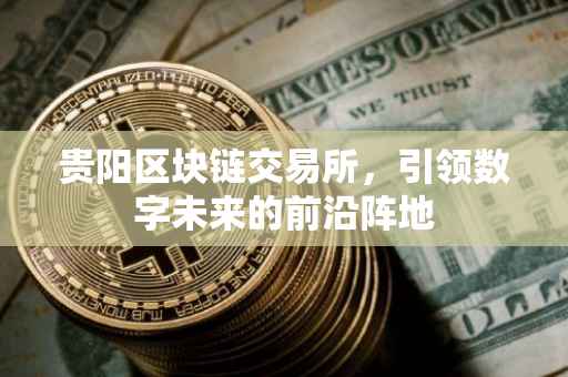 贵阳区块链交易所，引领数字未来的前沿阵地