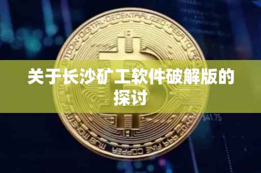 关于长沙矿工软件破解版的探讨