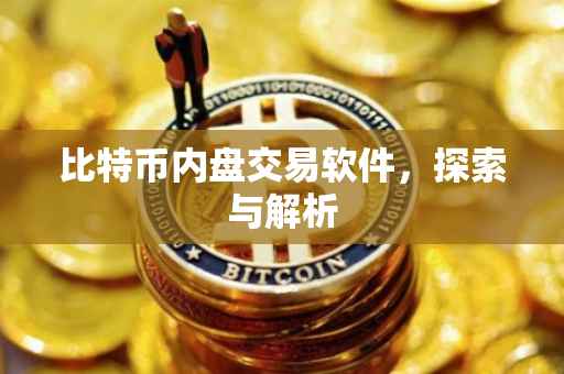 比特币内盘交易软件，探索与解析