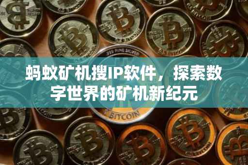 蚂蚁矿机搜IP软件，探索数字世界的矿机新纪元
