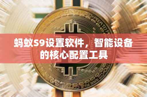 蚂蚁S9设置软件，智能设备的核心配置工具