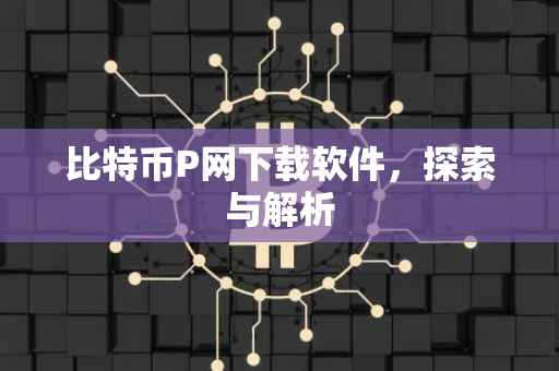 比特币P网下载软件，探索与解析