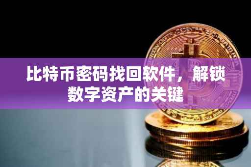 比特币密码找回软件，解锁数字资产的关键
