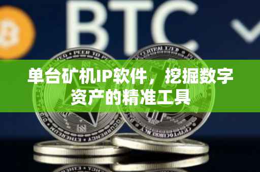 单台矿机IP软件，挖掘数字资产的精准工具
