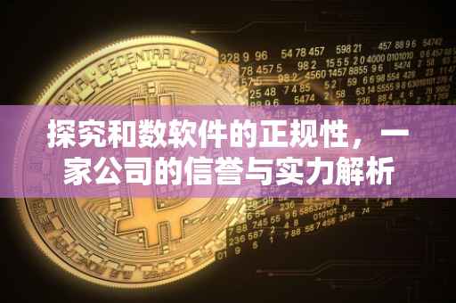 探究和数软件的正规性，一家公司的信誉与实力解析