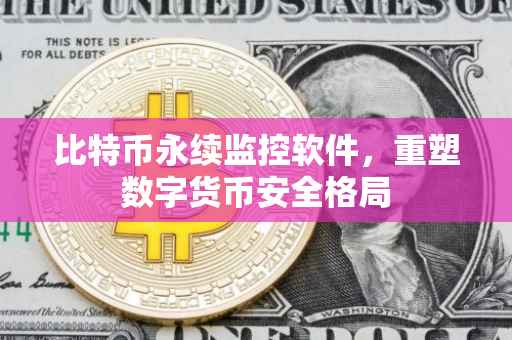 比特币永续监控软件，重塑数字货币安全格局
