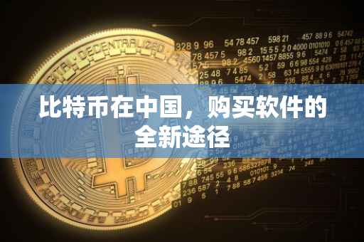 比特币在中国，购买软件的全新途径