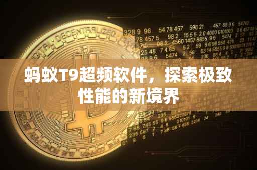 蚂蚁T9超频软件，探索极致性能的新境界