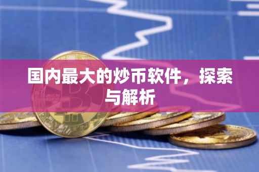 国内最大的炒币软件，探索与解析