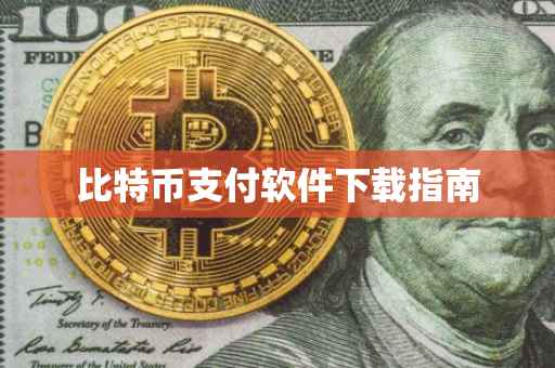 比特币支付软件下载指南