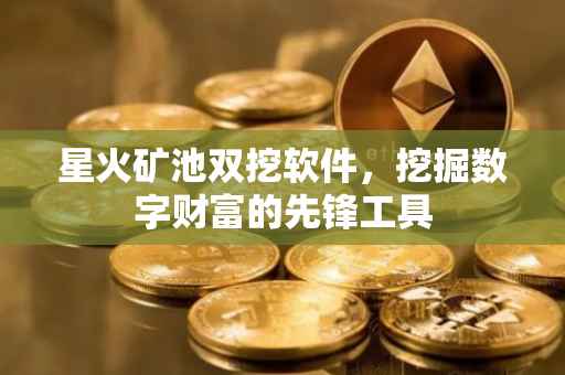 星火矿池双挖软件，挖掘数字财富的先锋工具