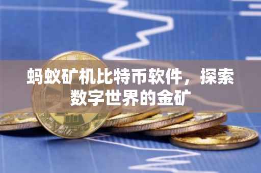 蚂蚁矿机比特币软件，探索数字世界的金矿