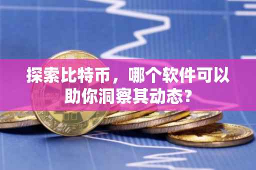 探索比特币，哪个软件可以助你洞察其动态？