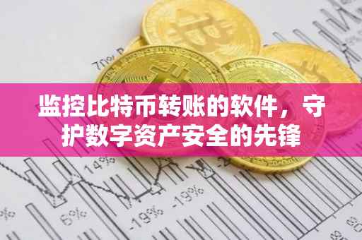 监控比特币转账的软件，守护数字资产安全的先锋