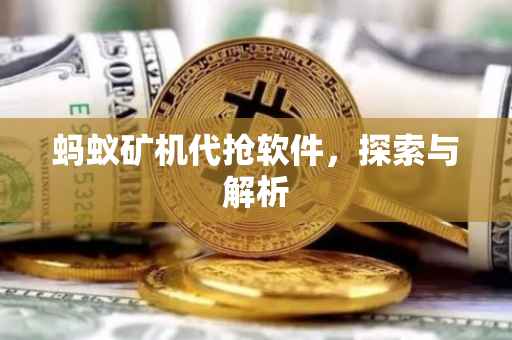 蚂蚁矿机代抢软件，探索与解析
