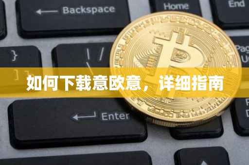 如何下载意欧意，详细指南