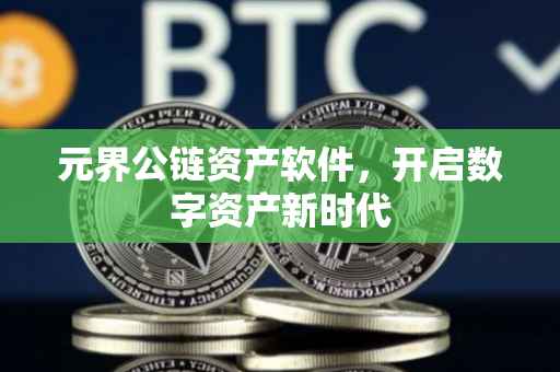 元界公链资产软件，开启数字资产新时代