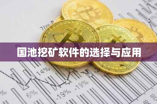 国池挖矿软件的选择与应用