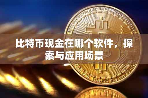 比特币现金在哪个软件，探索与应用场景