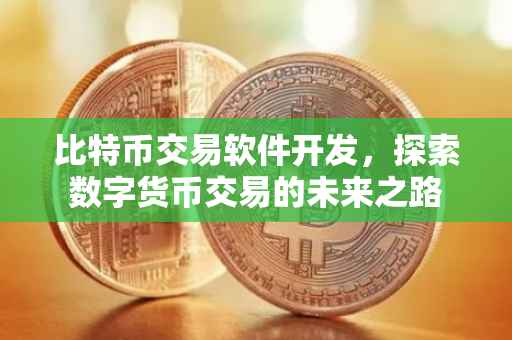 比特币交易软件开发，探索数字货币交易的未来之路