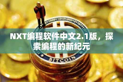 NXT编程软件中文2.1版，探索编程的新纪元