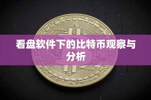 看盘软件下的比特币观察与分析