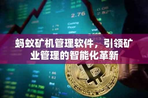 蚂蚁矿机管理软件，引领矿业管理的智能化革新