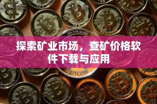 探索矿业市场，查矿价格软件下载与应用