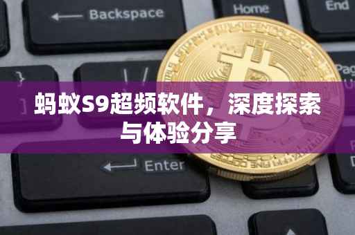 蚂蚁S9超频软件，深度探索与体验分享