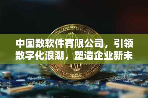 中国数软件有限公司，引领数字化浪潮，塑造企业新未来