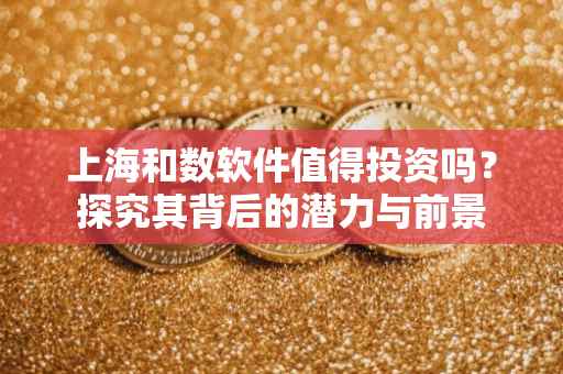 上海和数软件值得投资吗？探究其背后的潜力与前景
