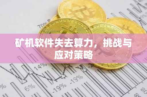 矿机软件失去算力，挑战与应对策略