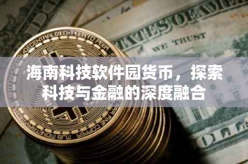 海南科技软件园货币，探索科技与金融的深度融合