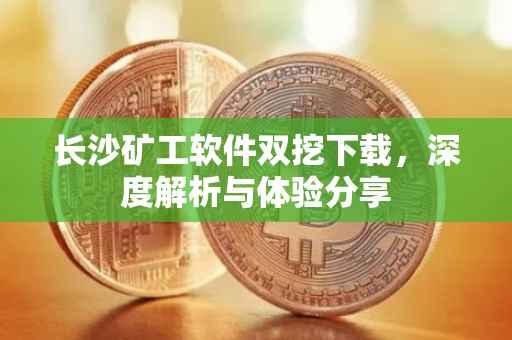 长沙矿工软件双挖下载，深度解析与体验分享