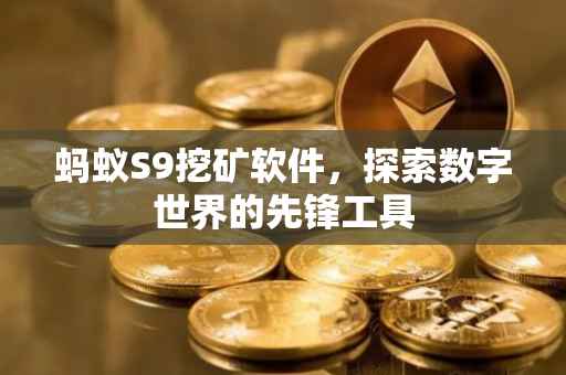 蚂蚁S9挖矿软件，探索数字世界的先锋工具