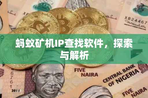 蚂蚁矿机IP查找软件，探索与解析