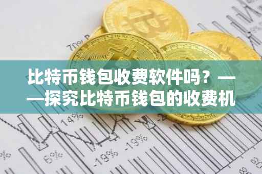 比特币钱包收费软件吗？——探究比特币钱包的收费机制与选择