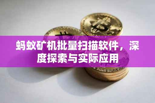 蚂蚁矿机批量扫描软件，深度探索与实际应用