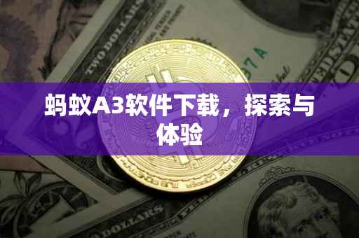 蚂蚁A3软件下载，探索与体验
