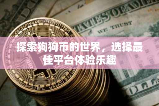 探索狗狗币的世界，选择最佳平台体验乐趣
