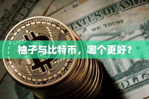 柚子与比特币，哪个更好？