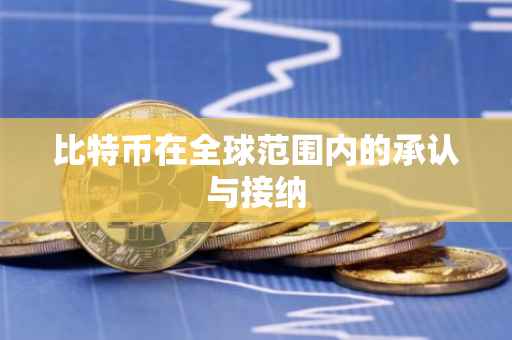 比特币在全球范围内的承认与接纳