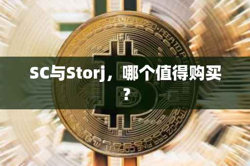 SC与Storj，哪个值得购买？