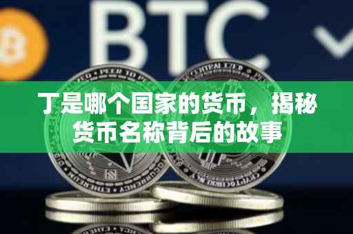 丁是哪个国家的货币，揭秘货币名称背后的故事