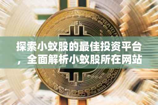 探索小蚁股的最佳投资平台，全面解析小蚁股所在网站及其投资潜力