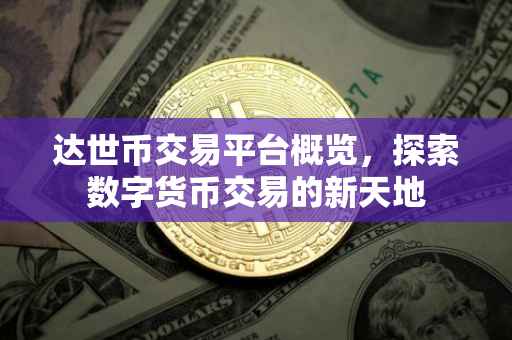 达世币交易平台概览，探索数字货币交易的新天地