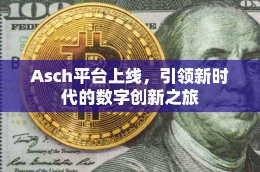 Asch平台上线，引领新时代的数字创新之旅