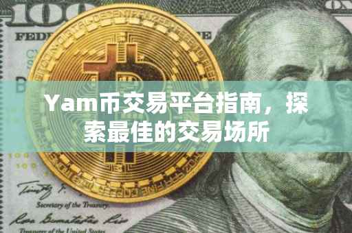 Yam币交易平台指南，探索最佳的交易场所