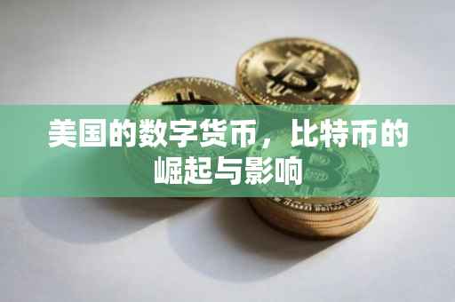 美国的数字货币，比特币的崛起与影响