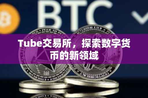Tube交易所，探索数字货币的新领域